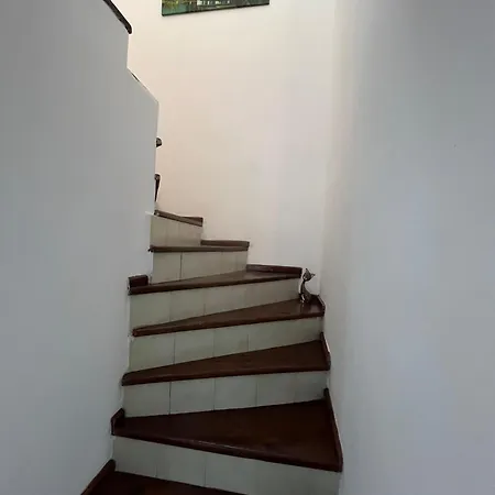 Pala Kemer
